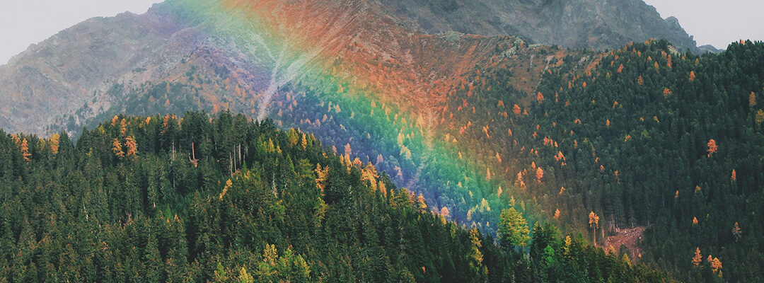 Reclaiming the Rainbow: A Symbol of Divine Grace