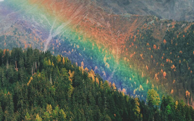 Reclaiming the Rainbow: A Symbol of Divine Grace